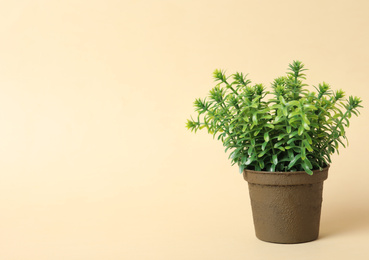Photo of Beautiful artificial plant in flower pot on beige background, space for text
