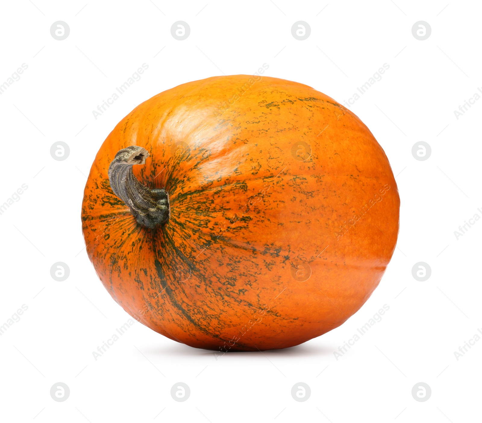 Photo of One fresh orange pumpkin isolated on white