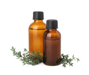Bottles of thyme essential oil and fresh plant isolated on white