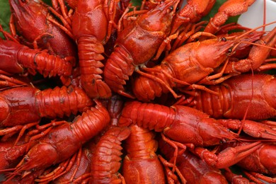 Delicious red boiled crayfish as background, top view