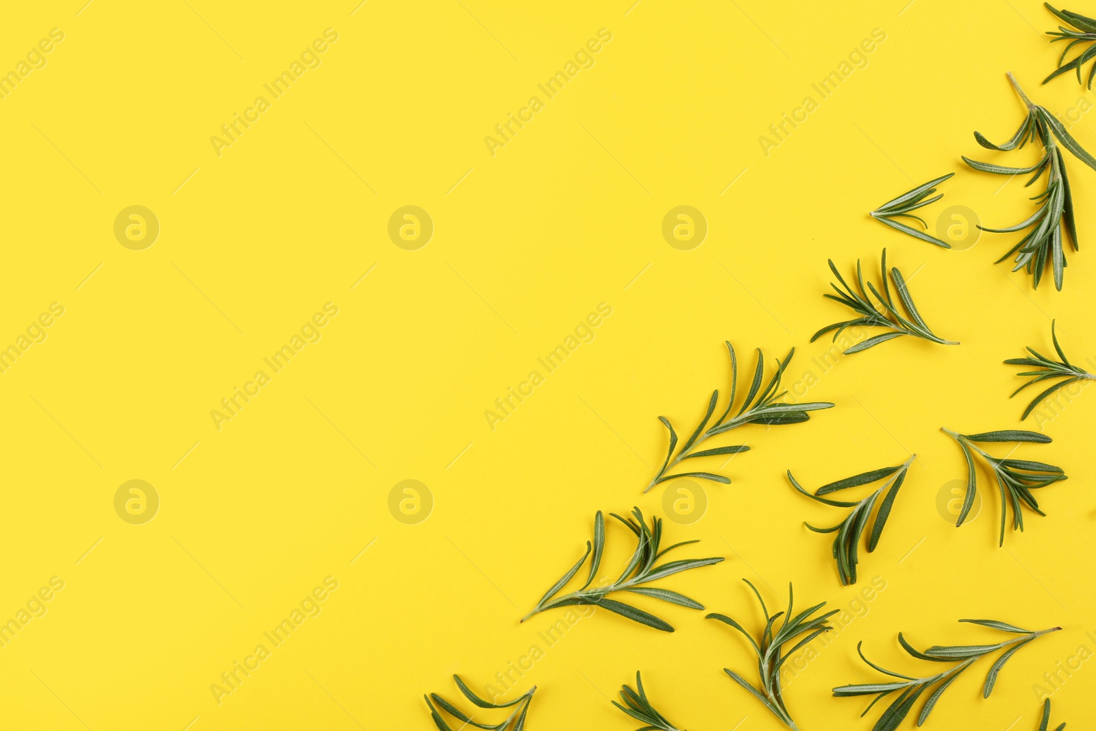 Photo of Flat lay composition with fresh rosemary on yellow background. Space for text