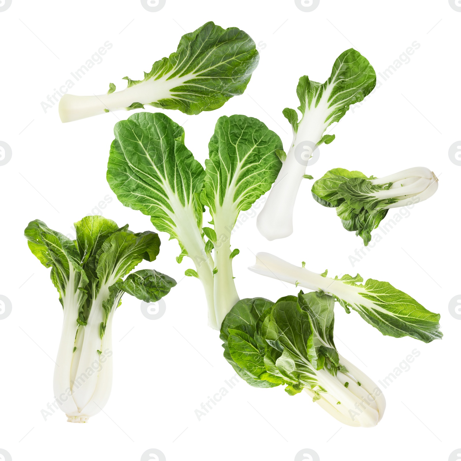 Image of Fresh green pak choy cabbages falling on white background