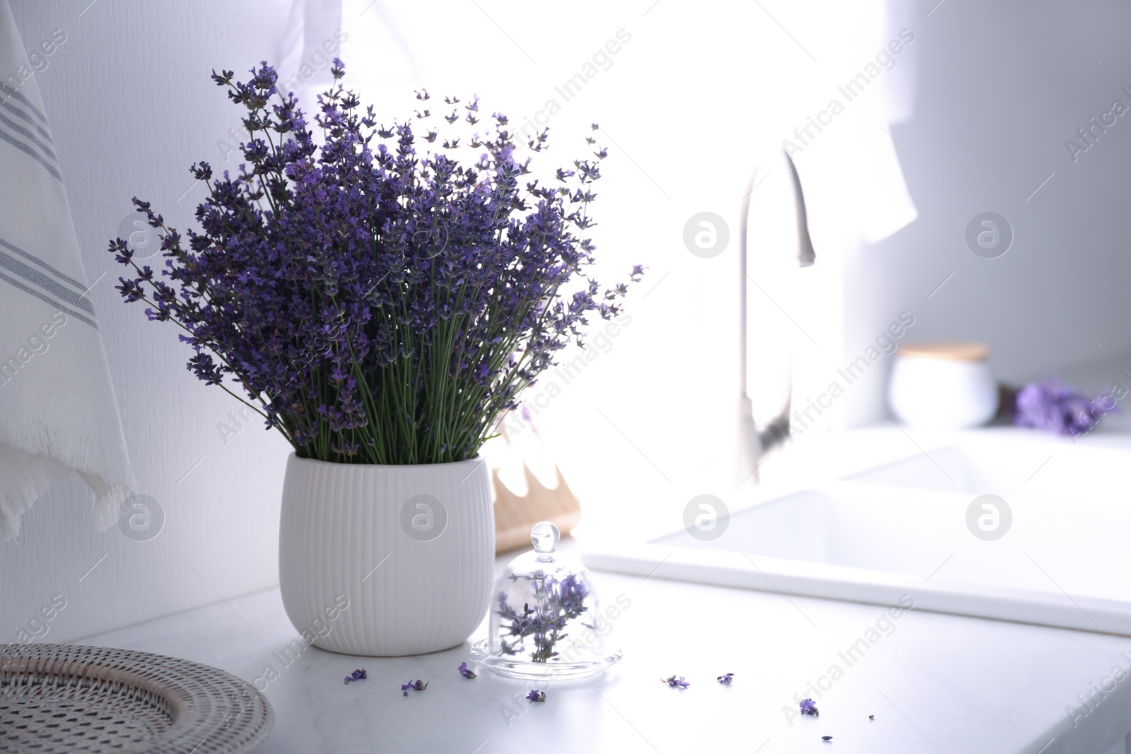 Photo of Beautiful lavender flowers on countertop in kitchen. Space for text