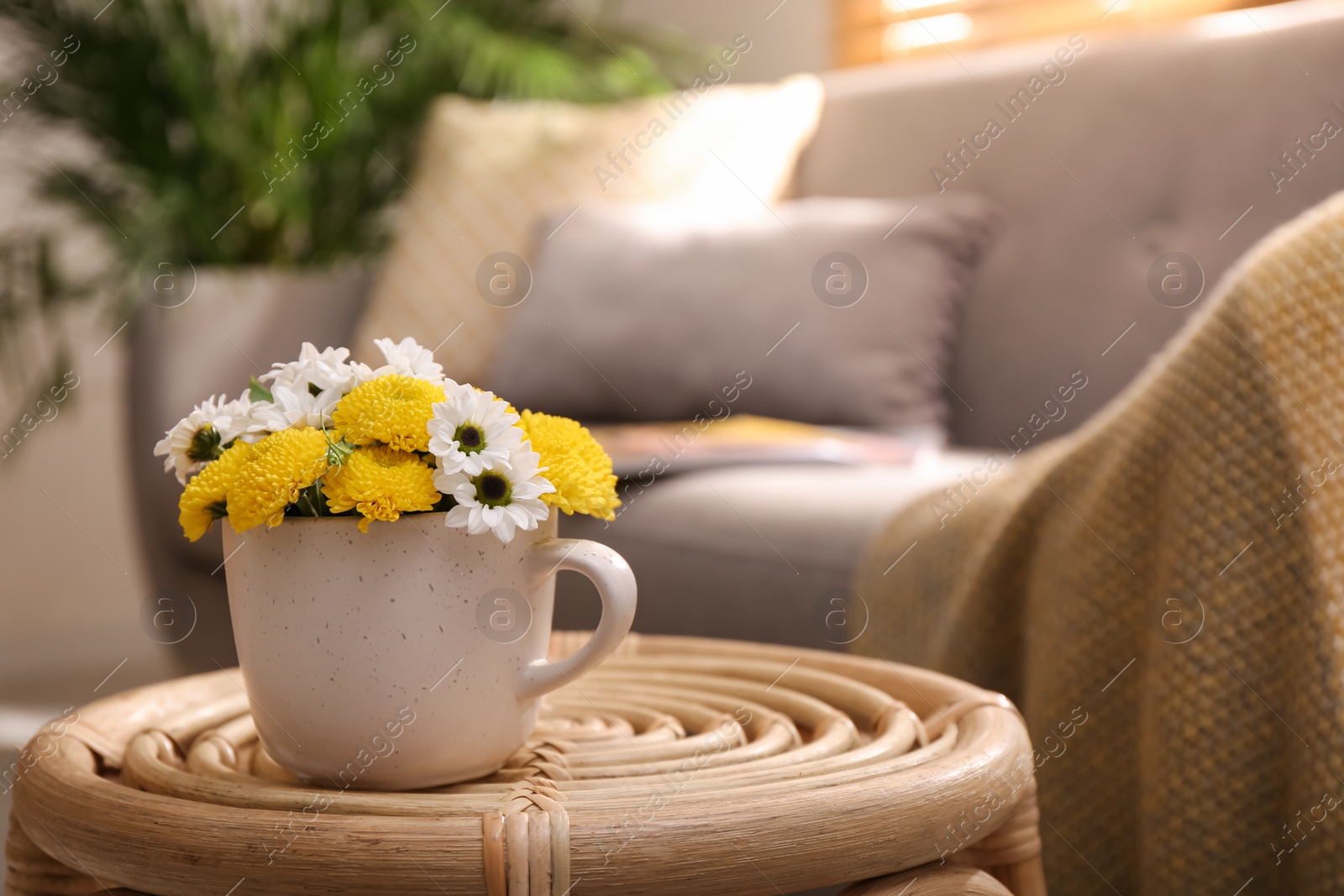 Photo of Cup with beautiful bright flowers on table in living room, space for text