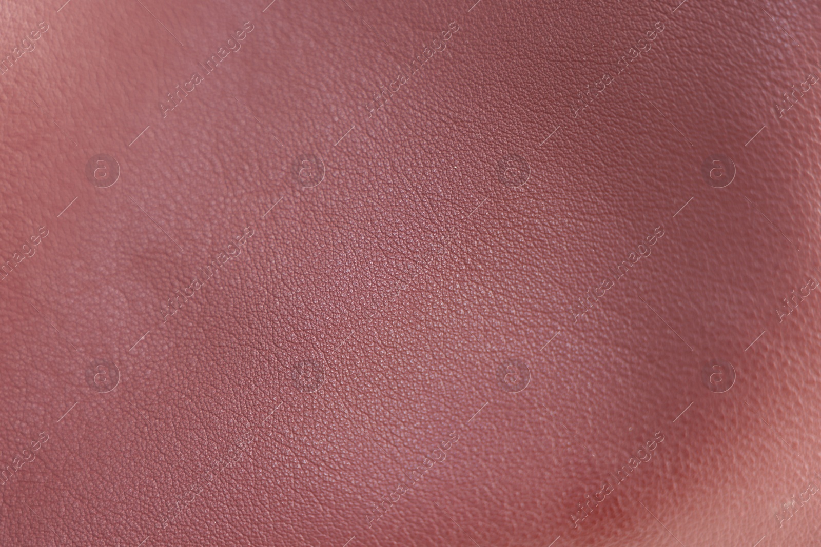 Photo of Texture of leather as background, closeup view