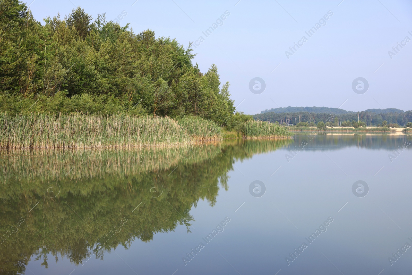 Photo of Picturesque view of lake and trees on summer day