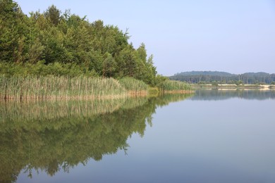 Picturesque view of lake and trees on summer day