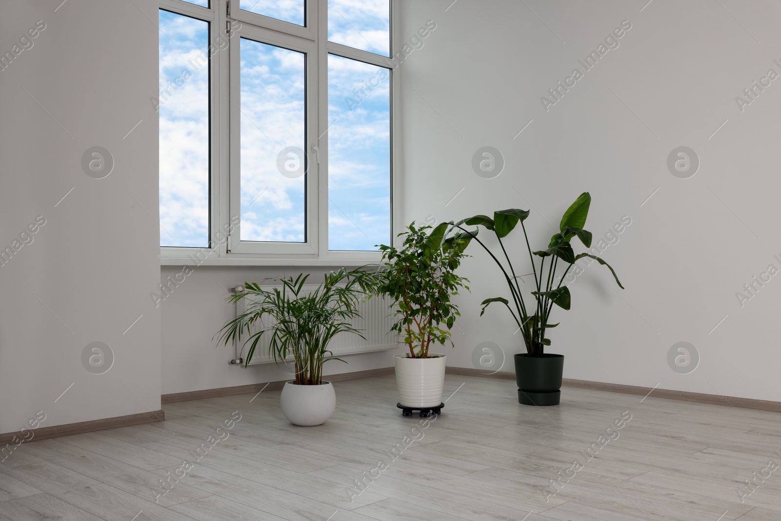 Photo of Empty renovated room with potted houseplants and windows