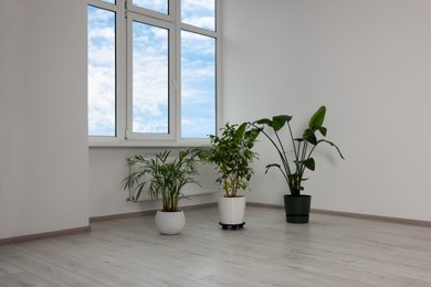 Photo of Empty renovated room with potted houseplants and windows