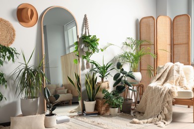 Photo of Stylish room interior with wooden furniture and different houseplants near white wall