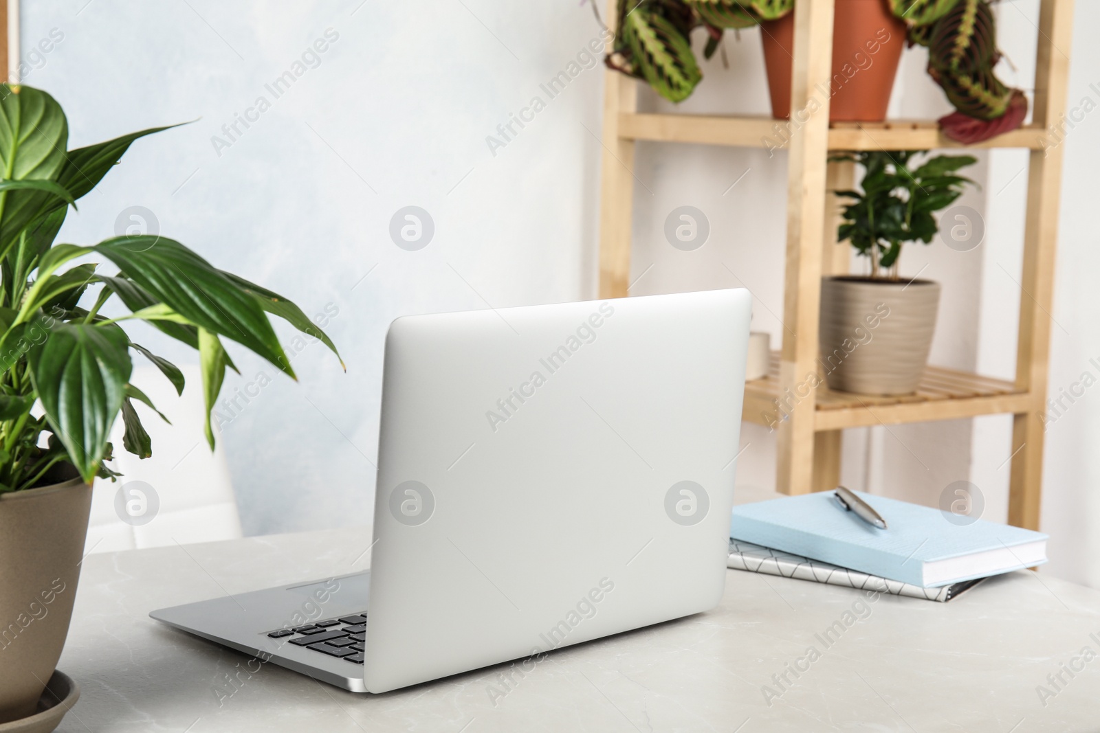 Photo of Office interior with houseplants and laptop on table