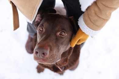 Woman with adorable Labrador Retriever dog on snow, above view