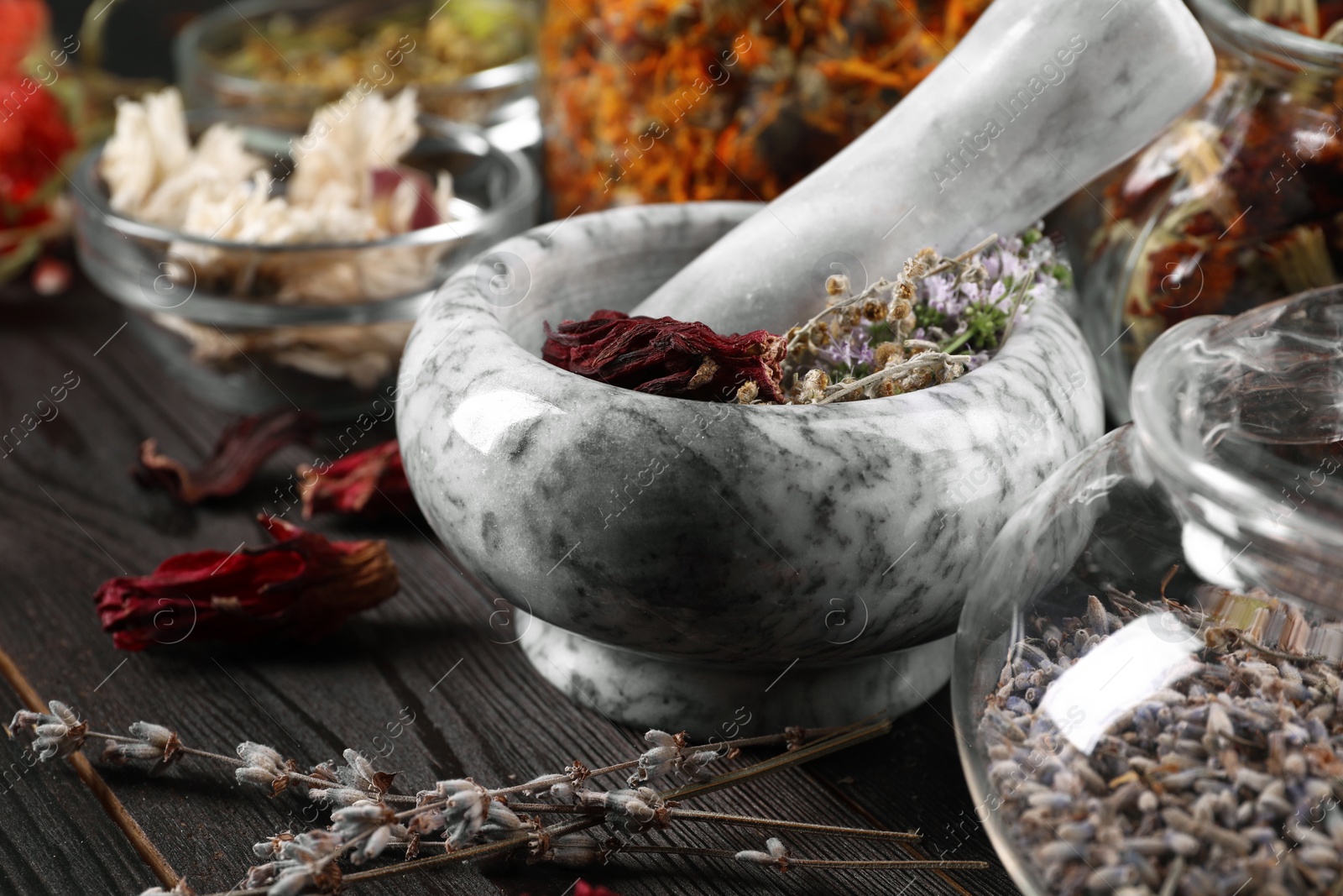 Photo of Mortar with pestle and many different herbs on wooden table, closeup