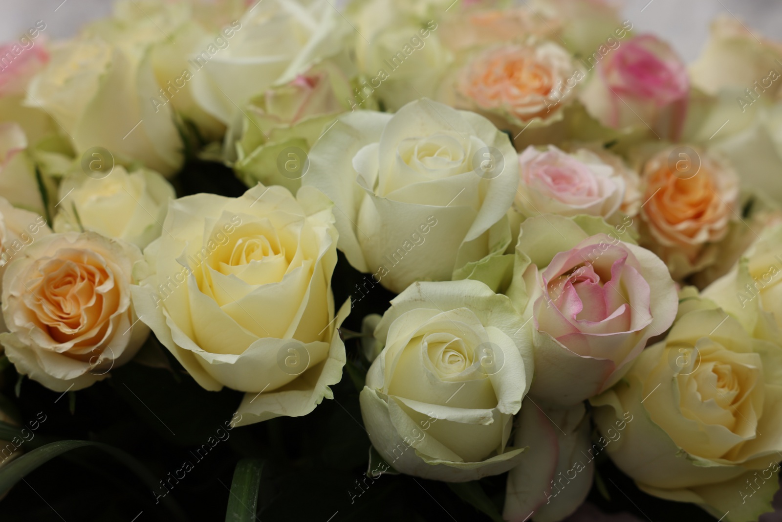 Photo of Bouquet of different beautiful roses, closeup view