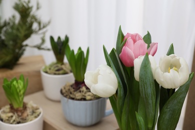 Photo of Potted hyacinth plants and tulips with bulbs on wooden table, closeup