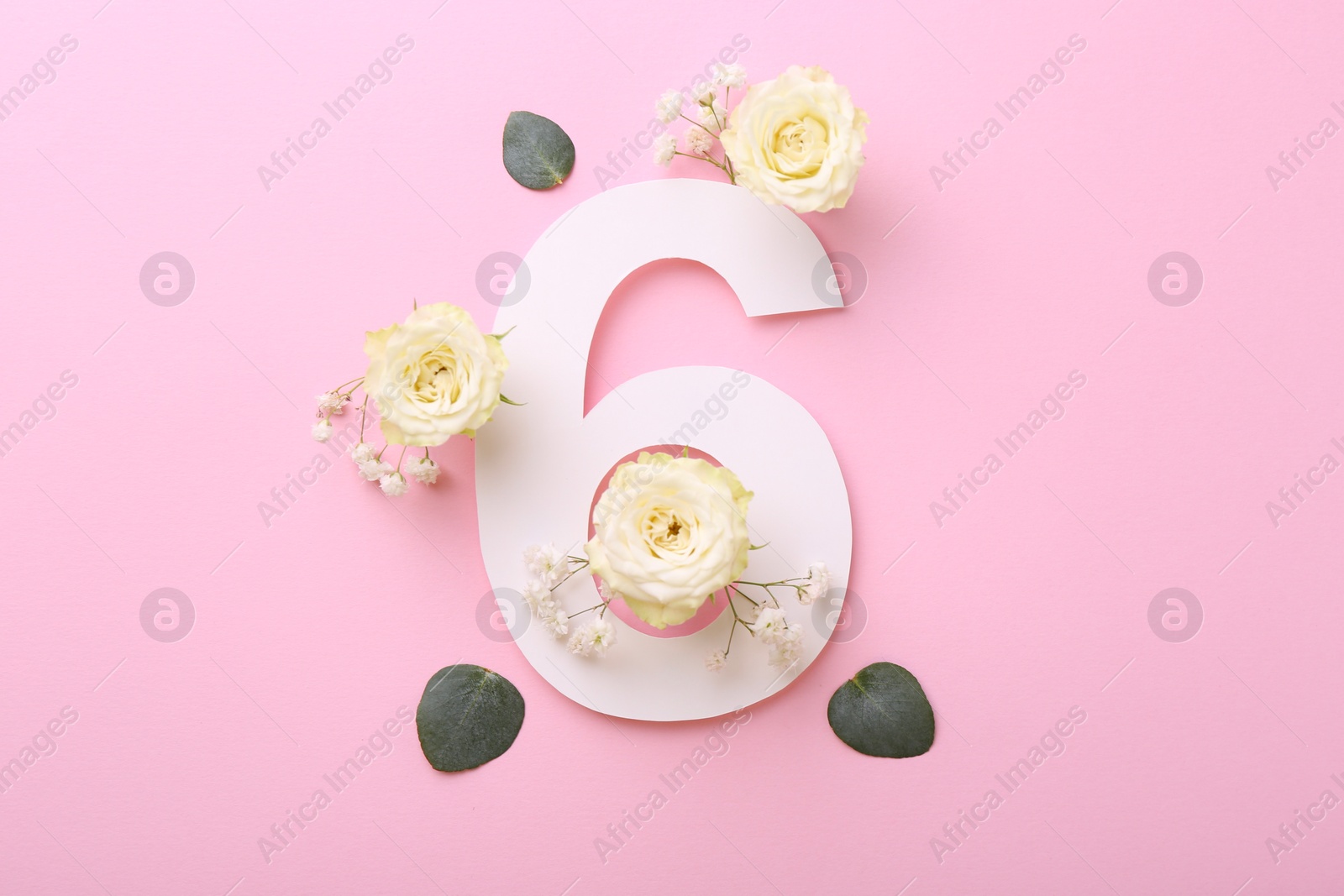 Photo of Paper number 6, eucalyptus leaves and beautiful flowers on pink background, flat lay