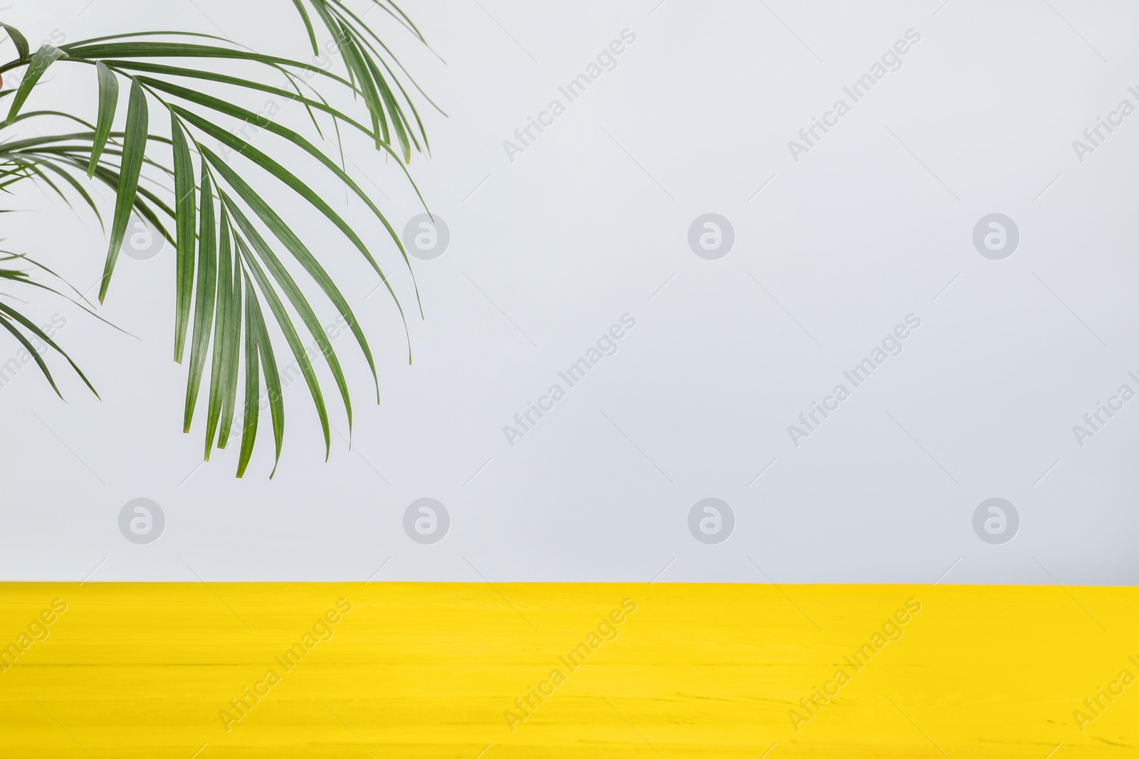 Photo of Empty yellow wooden surface on white background. Space for text