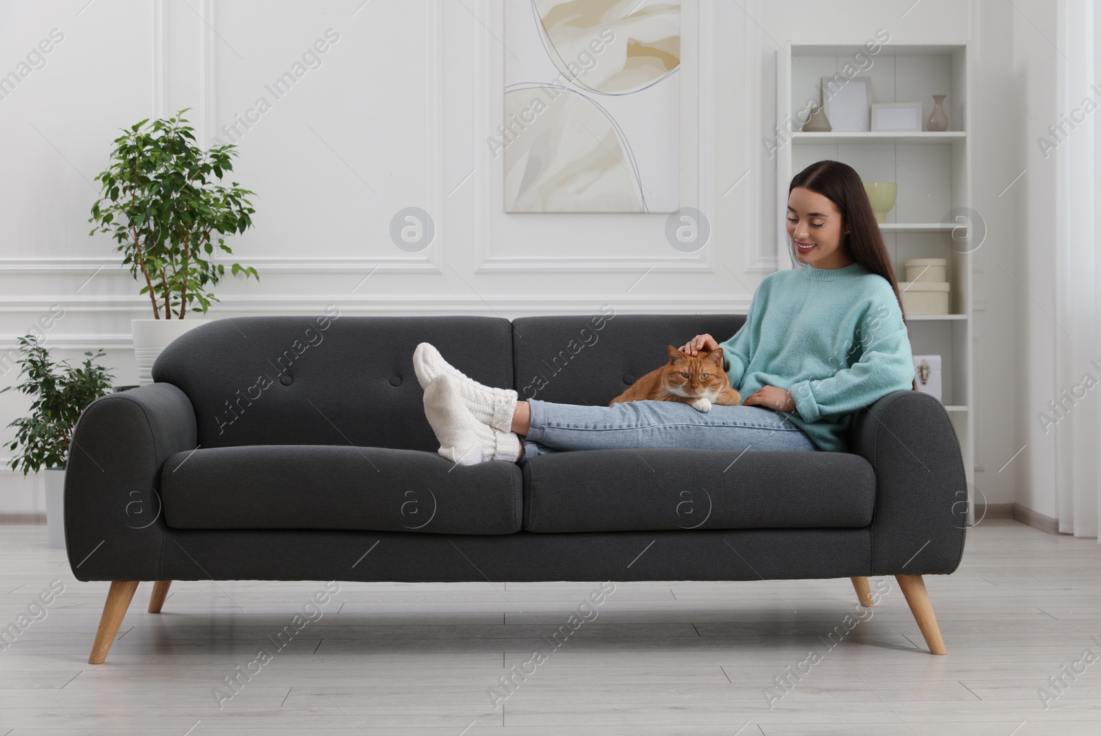 Photo of Beautiful woman petting cute cat on sofa at home