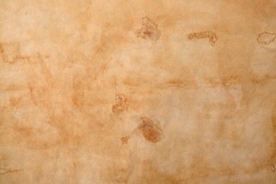 Photo of Sheet of parchment paper as background, top view