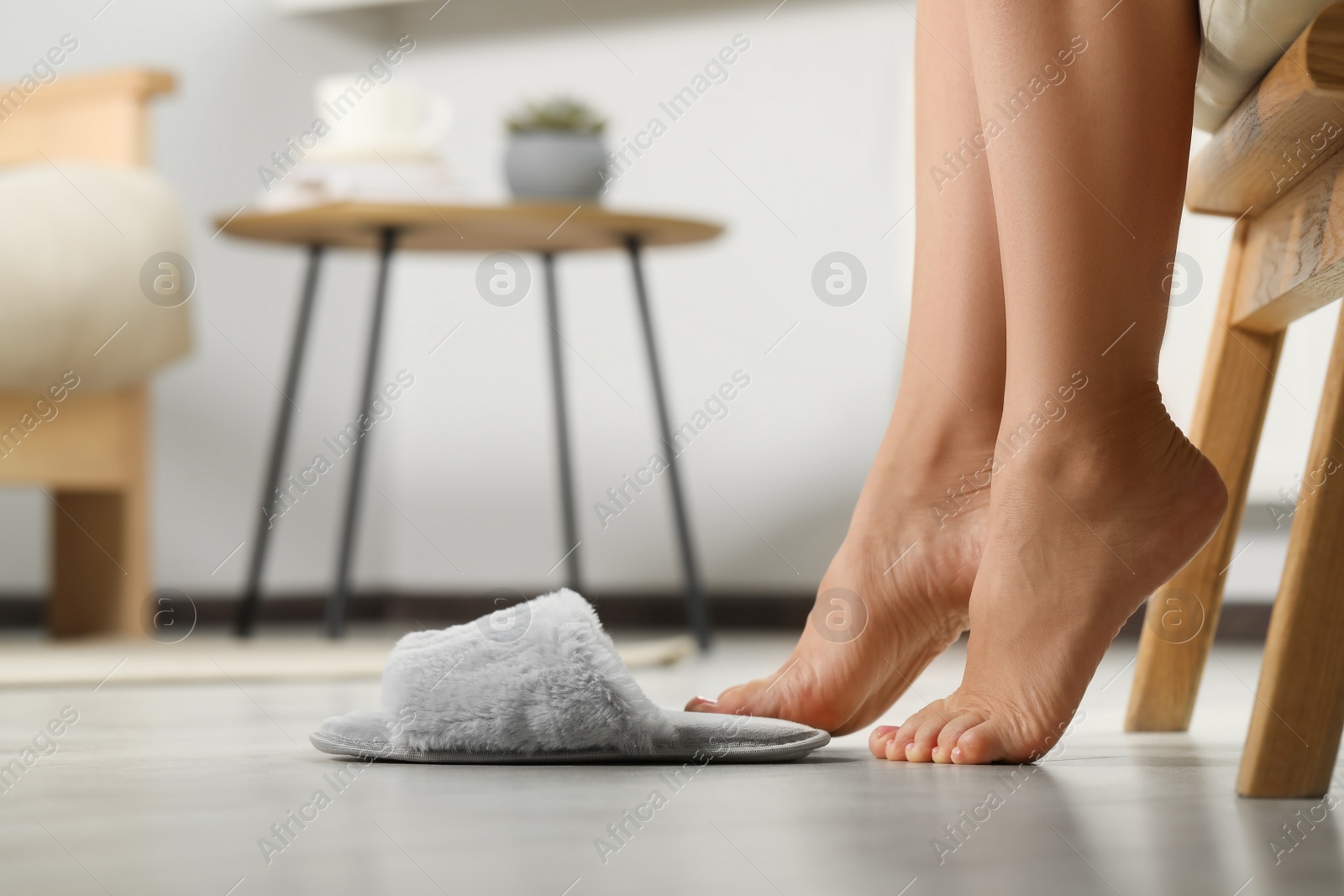 Photo of Woman putting on soft slippers at home, closeup