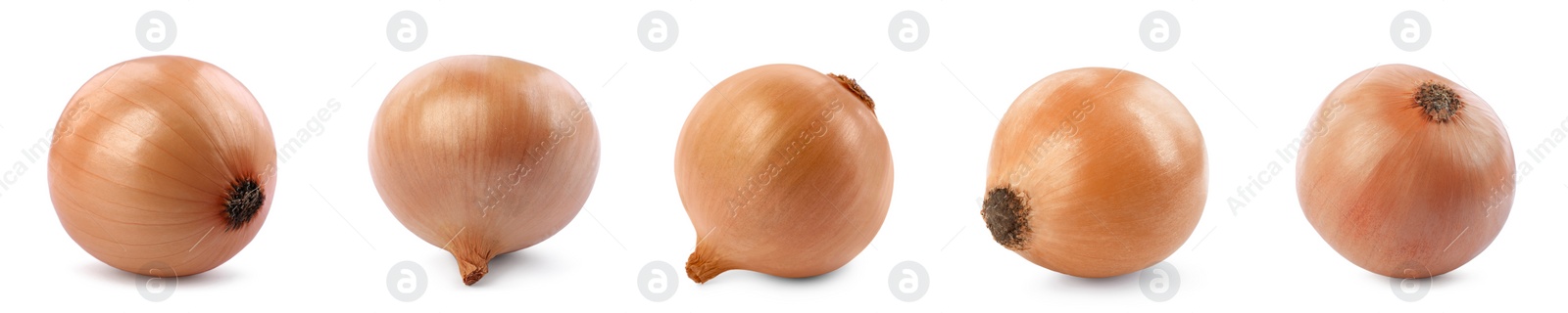 Image of Collage with fresh unpeeled onion bulbs on white background