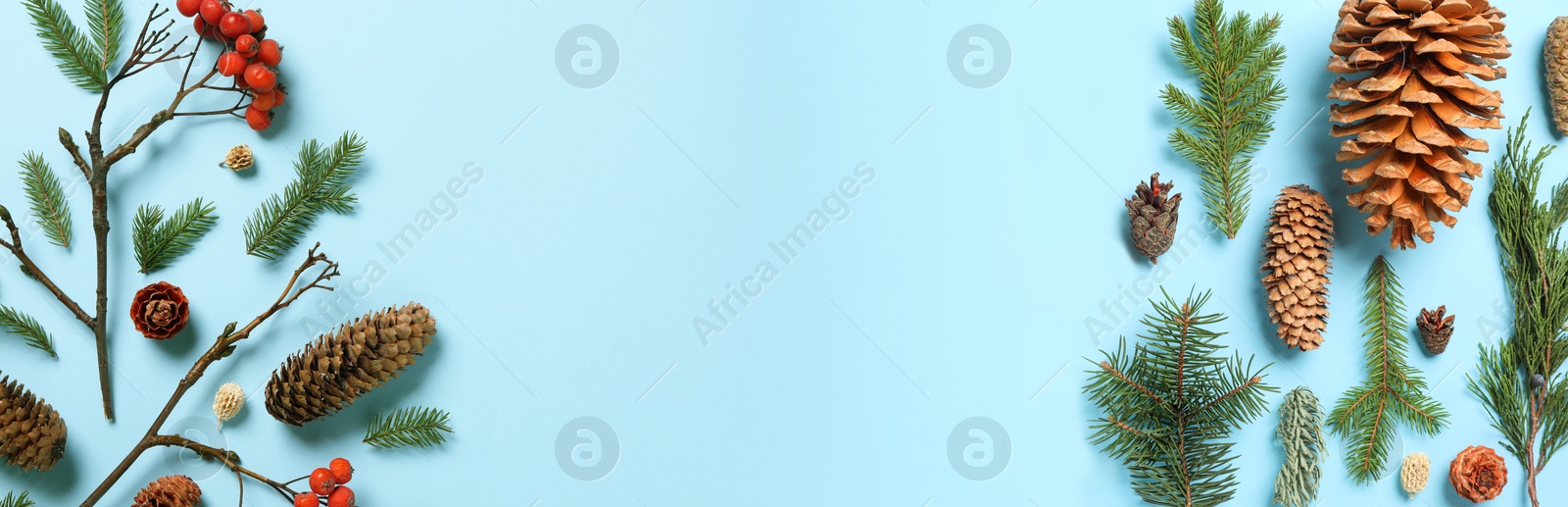 Image of Flat lay composition with pinecones on light blue background, space for text. Horizontal banner design