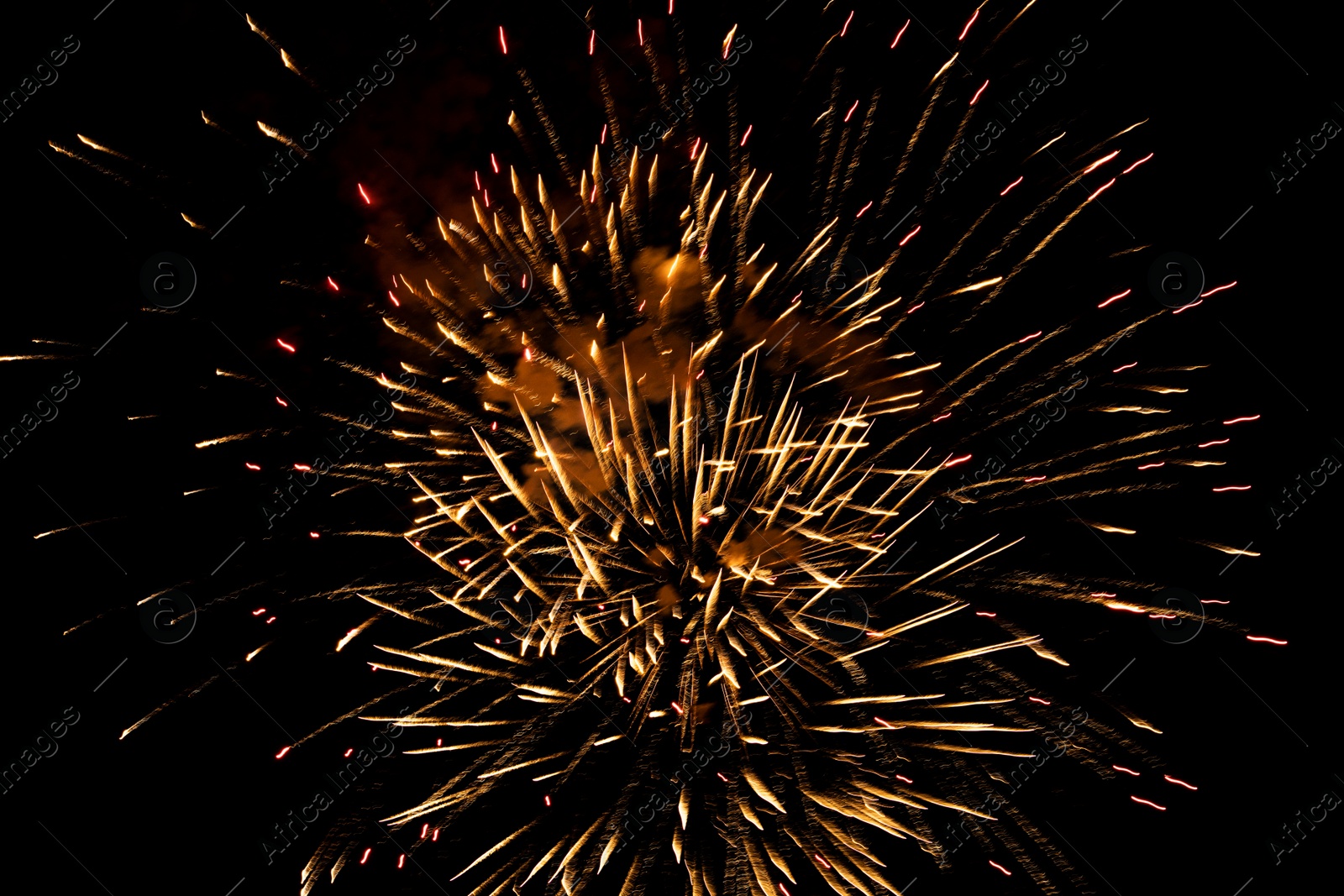 Image of Beautiful bright fireworks lighting up night sky