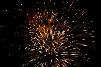 Image of Beautiful bright fireworks lighting up night sky