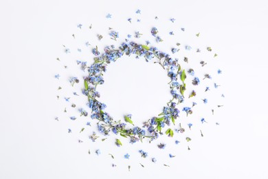 Round frame of beautiful forget-me-not flowers on white background, top view. Space for text