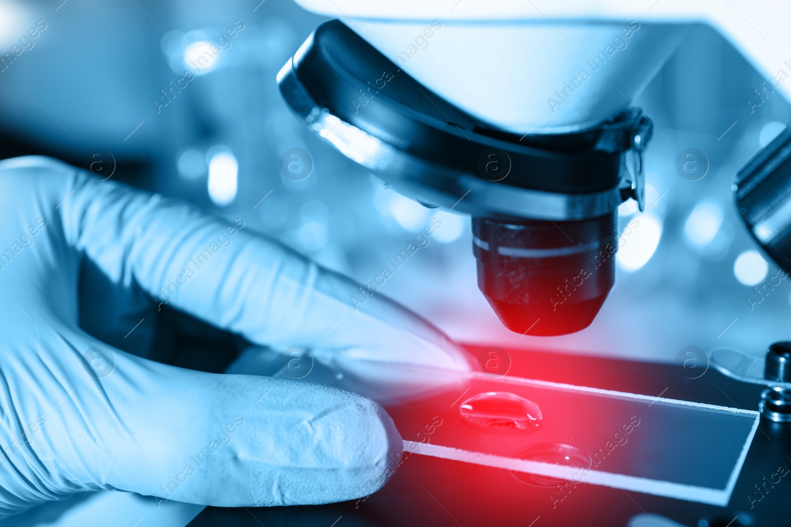 Image of Scientist examining liquid sample with microscope, closeup. Laboratory analysis