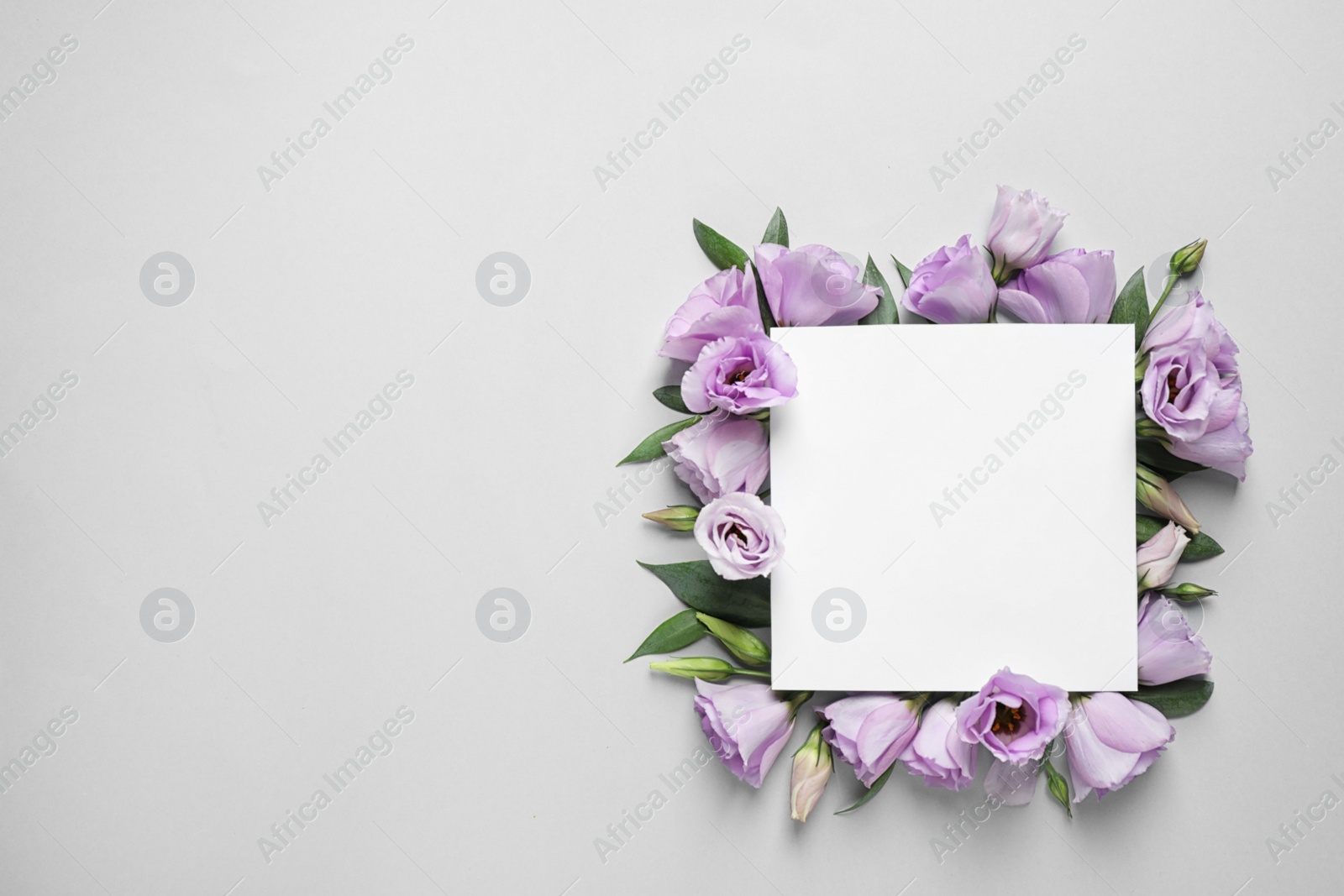 Photo of Flat lay composition with beautiful Eustoma flowers and card on grey background, space for text