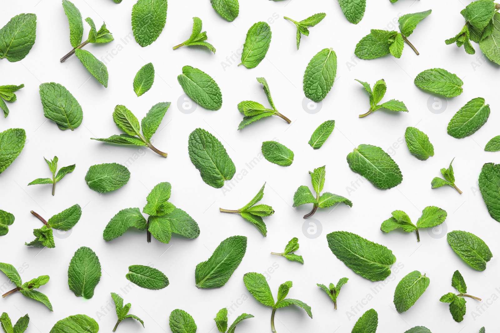 Photo of Fresh green mint leaves on white background, top view