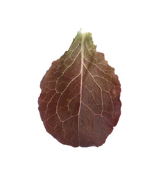 Photo of Leaf of fresh red lettuce isolated on white