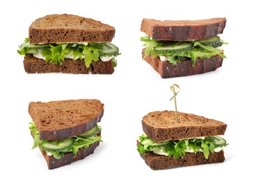 Image of Collage with tasty cucumber sandwiches on white background