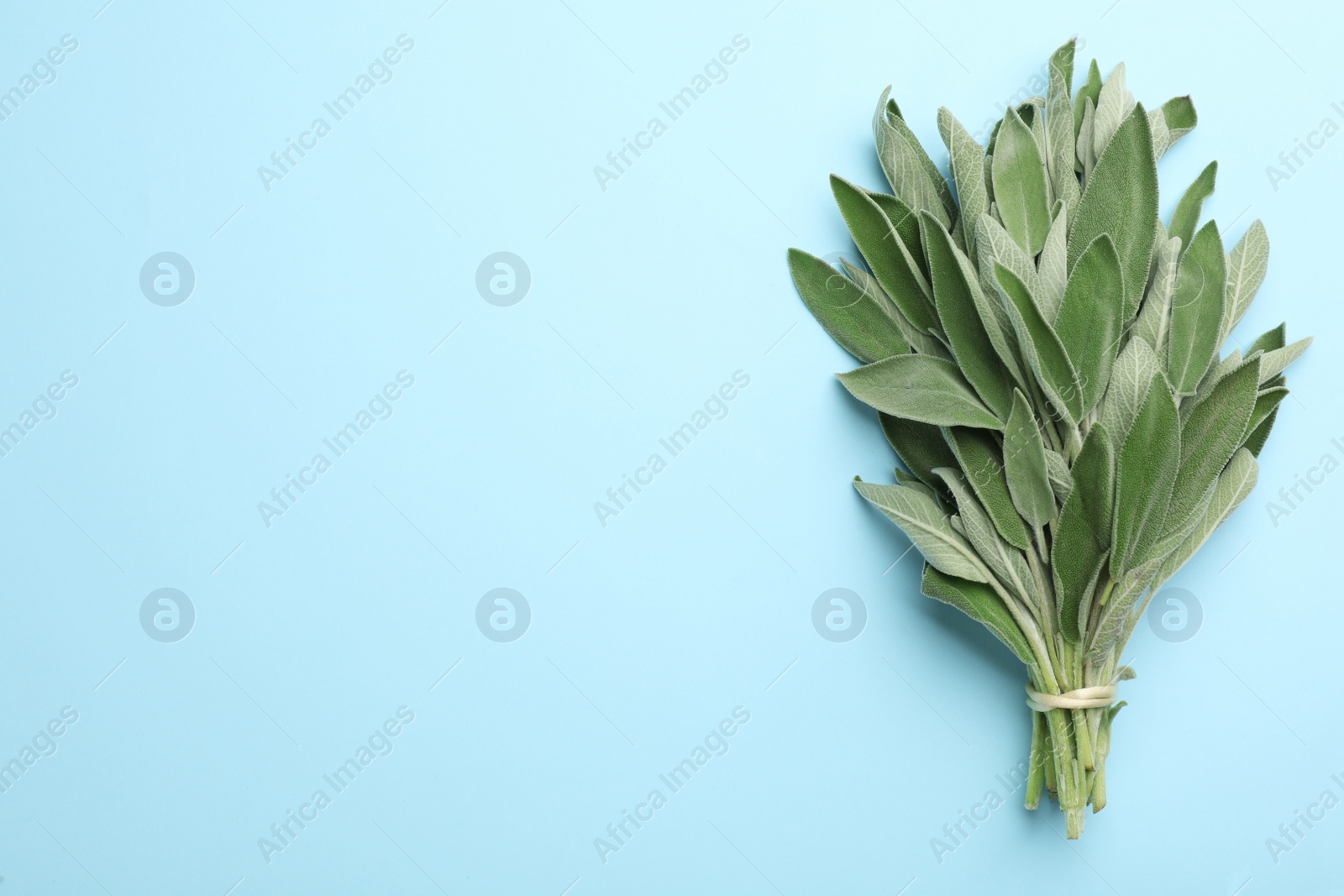 Photo of Bunch of fresh sage on turquoise background, top view. Space for text