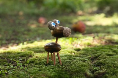 Photo of Cute figure madeacorns on green moss outdoors,