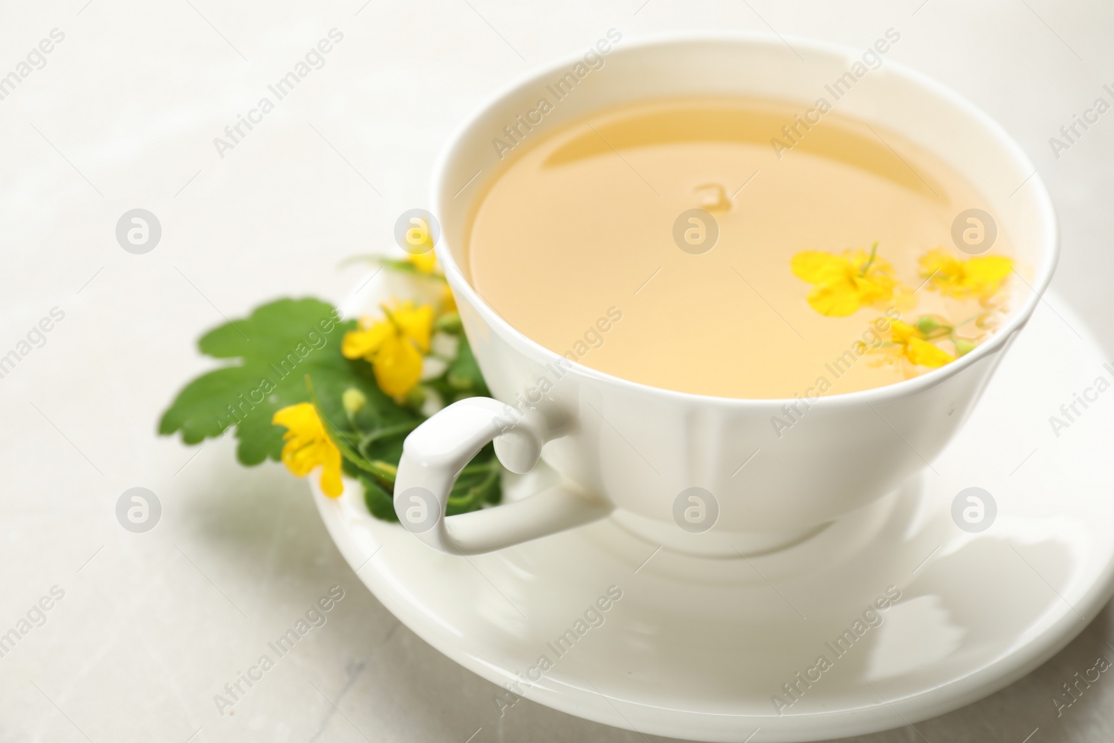 Photo of Cup of aromatic celandine tea and flowers on grey table, closeup
