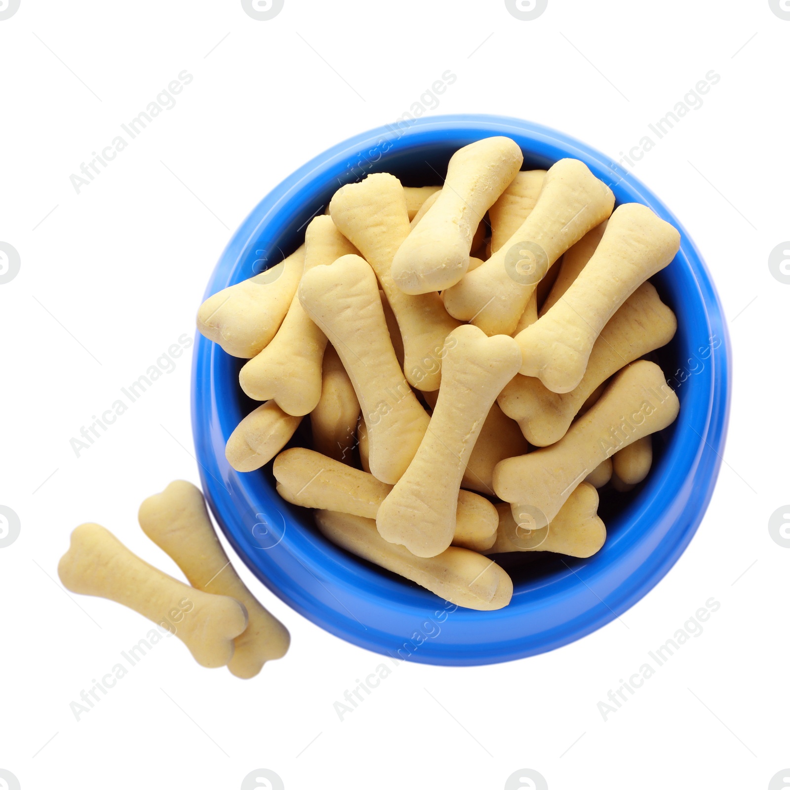 Photo of Bone shaped dog cookies and feeding bowl on white background, top view