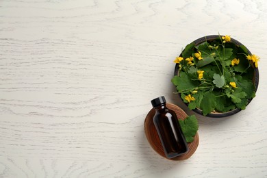 Photo of Bottle of celandine tincture with plant on white wooden table, flat lay. Space for text