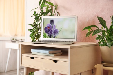 Photo of Houseplants and laptop on table in office interior