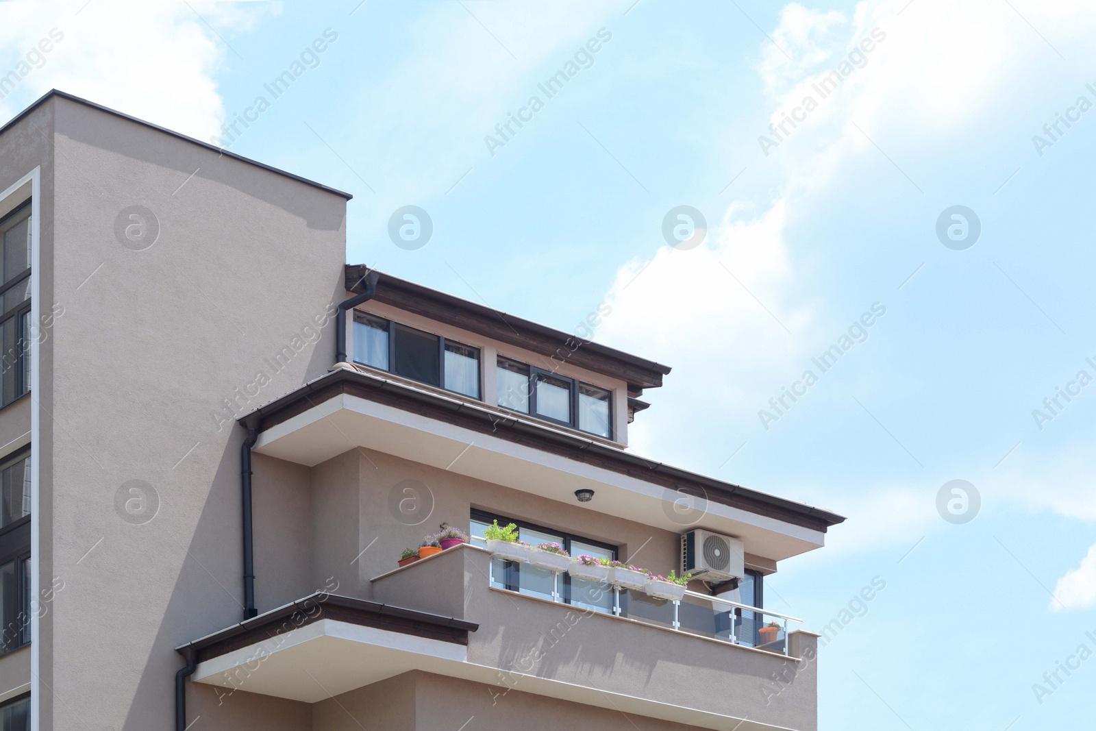 Photo of Balcony decorated with beautiful flowers on sunny day, low angle view