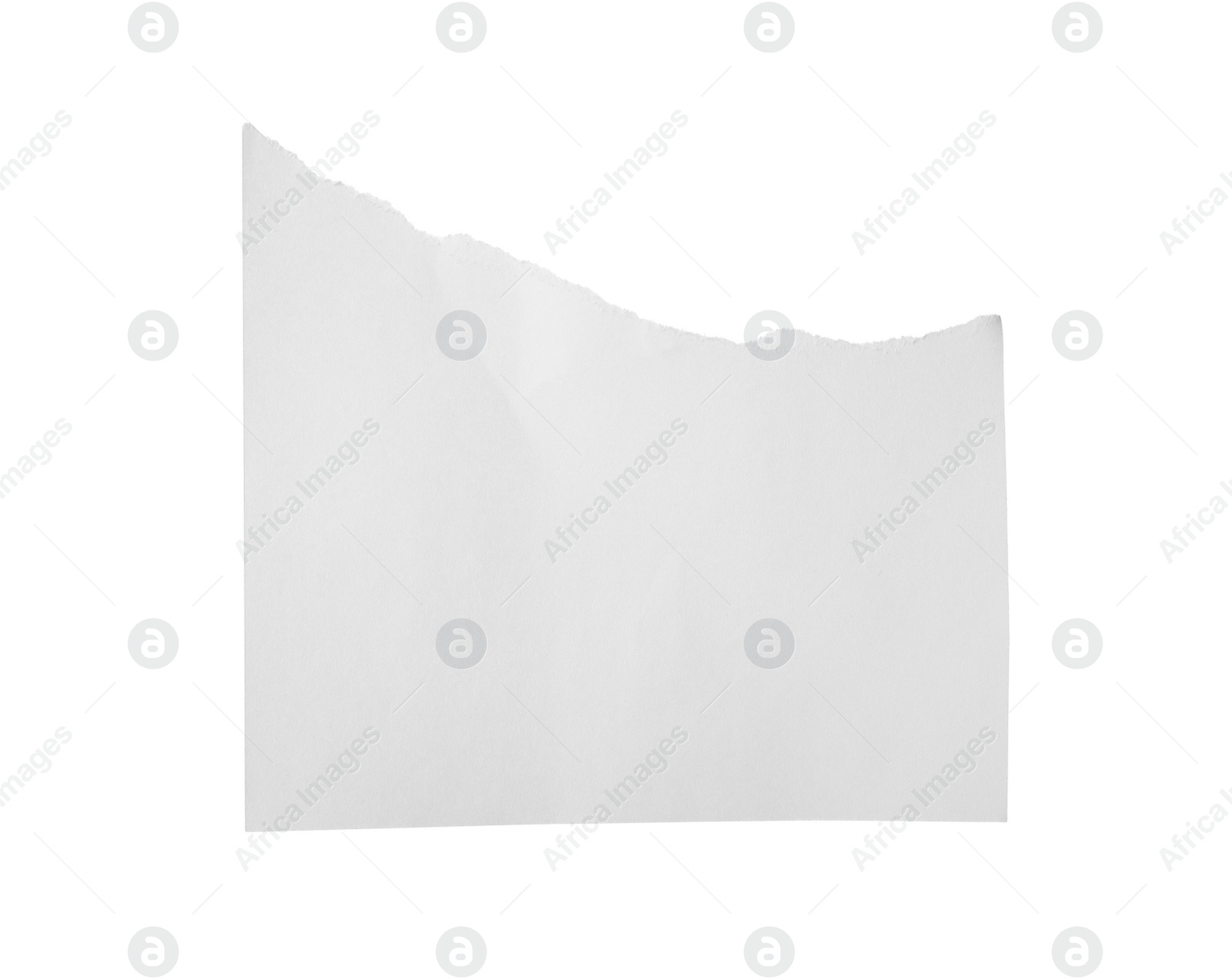 Photo of Piece of blank notebook paper isolated on white. Space for design