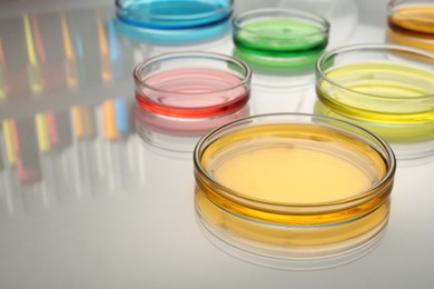 Photo of Petri dishes with different colorful samples on white table