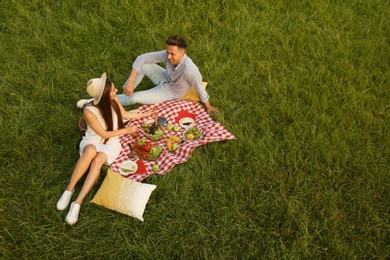 Happy couple having picnic in park on sunny day, above view