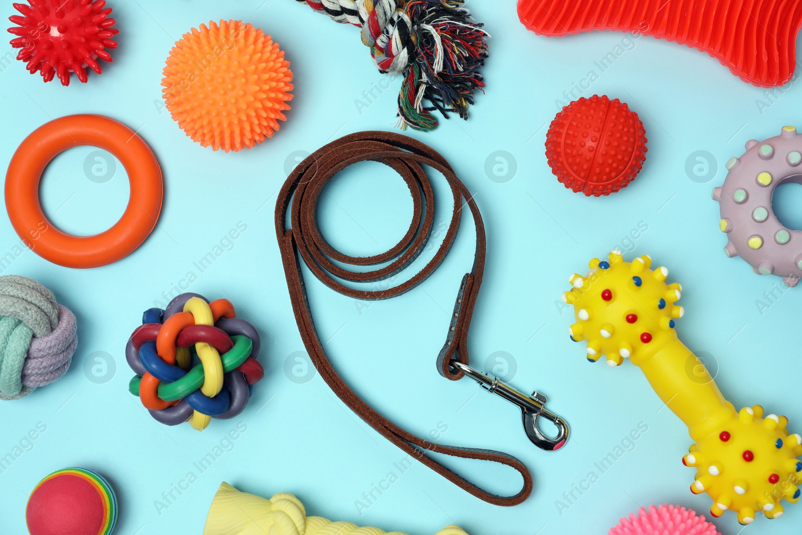 Photo of Flat lay composition with dog leash and toys on light blue background