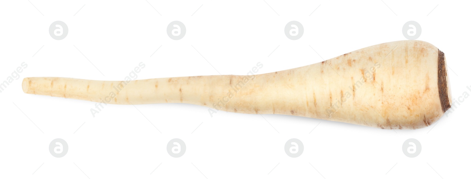 Photo of Tasty fresh ripe parsnip isolated on white, top view