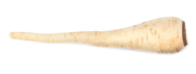 Photo of Tasty fresh ripe parsnip isolated on white, top view