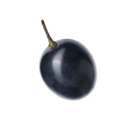 One ripe dark blue grape isolated on white