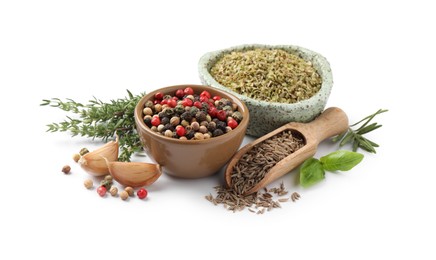 Photo of Different natural spices and herbs on white background