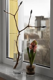 Photo of Beautiful hyacinth flower and tree branch with buds on window sill indoors. Spring time